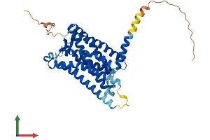 AlphaFold protein structure predicition of Human Recombinant MTNR1A Protein, UniprotID P48039