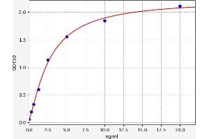 Typical standard curve (SLC26A4 Kit ELISA)