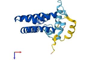 AlphaFold protein structure predicition of Mouse Recombinant Praf2 Protein, UniprotID Q9JIG8