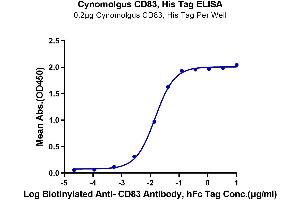 Immobilized Cynomolgus CD83, His Tag at 2 μg/mL (100 μL/well) on the plate.