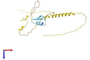 AlphaFold protein structure predicition of Mouse Recombinant Ripply1 Protein, UniprotID Q2WG77