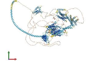 AlphaFold protein structure predicition of Human Recombinant KIF14 Protein, UniprotID Q15058