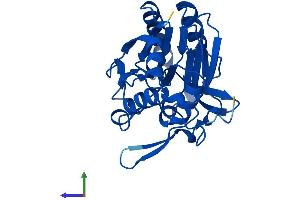 AlphaFold protein structure predicition of Mouse Recombinant Nit2 Protein, UniprotID Q9JHW2
