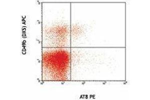 Flow Cytometry (FACS) image for anti-Killer Cell Lectin-Like Receptor, Subfamily A, Member 7 (Klra7) antibody (ABIN2665246)