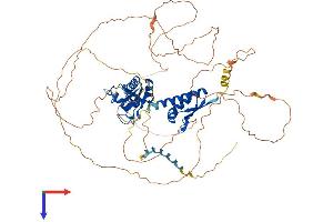 AlphaFold protein structure predicition of Human Recombinant MEX3C Protein, UniprotID Q5U5Q3