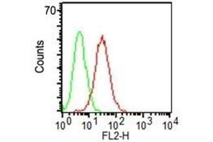 Flow Cytometry of KG-1 cells using CD34 Monoclonal Antibody (HPCA1/1171) (red) & isotype control (green).