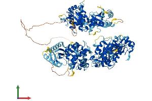 AlphaFold protein structure predicition of Mouse Recombinant Oas3 Protein, UniprotID Q8VI93