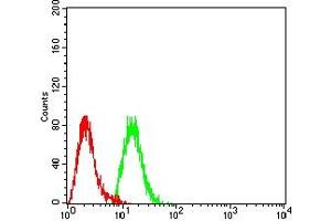 Flow cytometric analysis of Hela cells using MTA1 mouse mAb (green) and negative control (red).