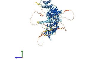 AlphaFold protein structure predicition of Human Recombinant PTK2B Protein, UniprotID Q14289