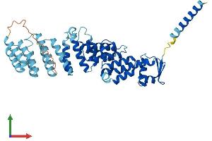 AlphaFold protein structure predicition of Human Recombinant COPS2 Protein, UniprotID P61201
