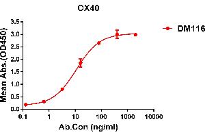 ELISA plate pre-coated by 2 μg/mL (100 μL/well) Human OX40 protein, hFc-His tagged protein ABIN6961095, ABIN7042219 and ABIN7042220 can bind Rabbit anti-OX40 monoclonal antibody  (clone: DM116) in a linear range of 6-70 ng/mL.