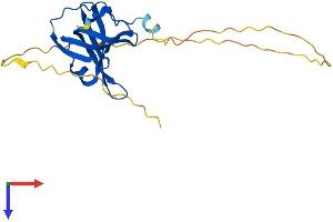 AlphaFold protein structure predicition of Mouse Recombinant Nabp2 Protein, UniprotID Q8R2Y9