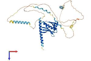 AlphaFold protein structure predicition of Mouse Recombinant Evl Protein, UniprotID P70429