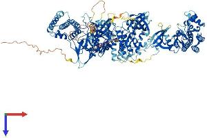 AlphaFold protein structure predicition of Human Recombinant JAK1 Protein, UniprotID P23458