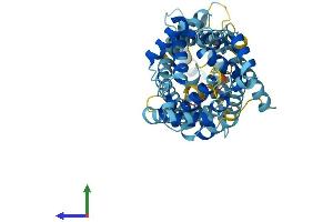 AlphaFold protein structure predicition of Mouse Recombinant Slc25a23 Protein, UniprotID Q6GQS1