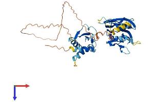 AlphaFold protein structure predicition of Mouse Recombinant Irf9 Protein, UniprotID Q61179