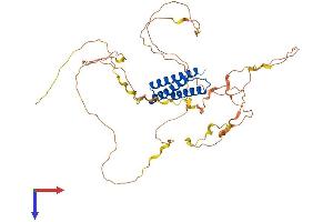 AlphaFold protein structure predicition of Human Recombinant BAG4 Protein, UniprotID O95429