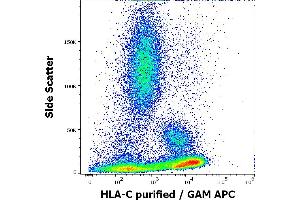 Flow cytometry surface staining pattern of human peripheral whole blood stained using anti-human HLA-C (DT-9) purified antibody (concentration in sample 1,7 μg/mL, GAM APC). (HLA-C anticorps)