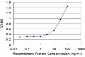 Detection limit for recombinant GST tagged CX3CR1 is approximately 3ng/ml as a capture antibody. (CX3CR1 anticorps  (AA 1-36))