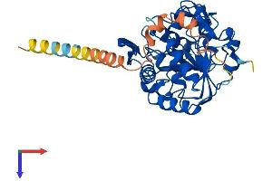 AlphaFold protein structure predicition of Mouse Recombinant St8sia4 Protein, UniprotID Q64692