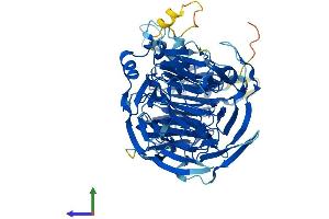 AlphaFold protein structure predicition of Human Recombinant UTP4 Protein, UniprotID Q969X6
