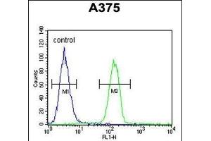 GSN Antibody (N-term) (ABIN6242369 and ABIN6578987) flow cytometric analysis of  cells (right histogram) compared to a negative control cell (left histogram). (Gelsolin anticorps  (N-Term))