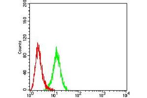 Flow cytometric analysis of Hela cells using OX40 mouse mAb (green) and negative control (red).