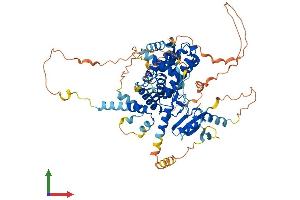 AlphaFold protein structure predicition of Mouse Recombinant Arhgap40 Protein, UniprotID E9Q6X9