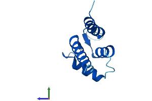 AlphaFold protein structure predicition of Human Recombinant S100A5 Protein, UniprotID P33763