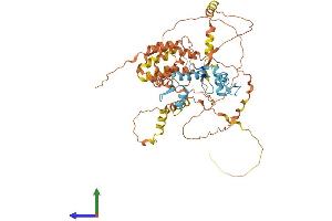 AlphaFold protein structure predicition of Human Recombinant ZBTB7B Protein, UniprotID O15156