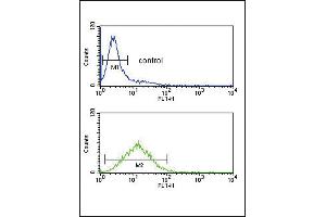 TPT1 Antibody (Center) (ABIN652444 and ABIN2842301) flow cytometric analysis of Jurkat cells (bottom histogram) compared to a negative control cell (top histogram).