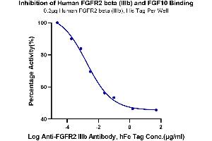 Serial dilutions of Anti-FGFR2 lllb Antibody were added into Human FGFR2 beta (lllb), His Tag : Biotinylated Human FGF10, No Tag binding reactioins.