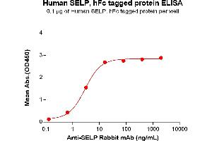 ELISA plate pre-coated by 1 μg/mL (100 μL/well) Human SELP Protein, hFc Tag(ABIN6961139, ABIN7042307 and ABIN7042308) can bind Anti-SELP Rabbit mAb in a linear range of 0.