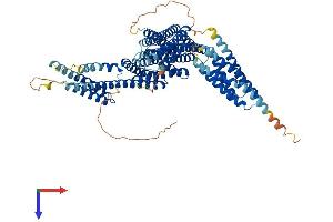 AlphaFold protein structure predicition of Human Recombinant CTNNAL1 Protein, UniprotID Q9UBT7