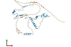 AlphaFold protein structure predicition of Human Recombinant PINX1 Protein, UniprotID Q96BK5