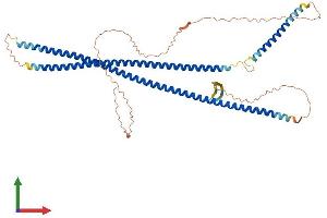 AlphaFold protein structure predicition of Human Recombinant KRT24 Protein, UniprotID Q2M2I5