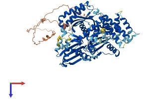 AlphaFold protein structure predicition of Mouse Recombinant Hps1 Protein, UniprotID O08983
