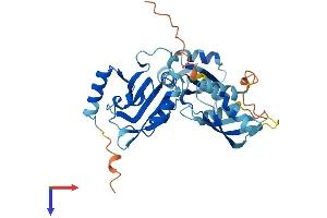 AlphaFold protein structure predicition of Human Recombinant DND1 Protein, UniprotID Q8IYX4