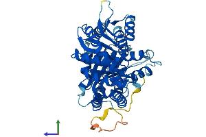 AlphaFold protein structure predicition of Human Recombinant TUBD1 Protein, UniprotID Q9UJT1