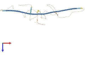 AlphaFold protein structure predicition of Human Recombinant POC5 Protein, UniprotID Q8NA72