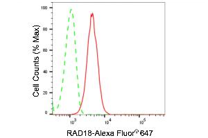 Flow cytometric analysis of RAD18 expression in H9c2 cells using RAD18 antibody (ABIN7798420), 1:2,000).