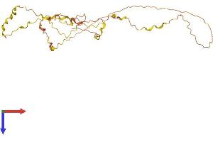 AlphaFold protein structure predicition of Human Recombinant BBC3 Protein, UniprotID Q96PG8