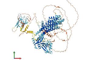 AlphaFold protein structure predicition of Mouse Recombinant Radil Protein, UniprotID Q69Z89