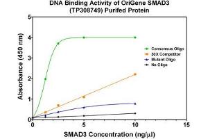 Bioactivity measured with Activity Assay (SMAD3 Protein (Transcript Variant 1) (Myc-DYKDDDDK Tag))
