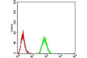 Flow cytometric analysis of Raji cells using RAB11FIP1 mouse mAb (green) and negative control (red).