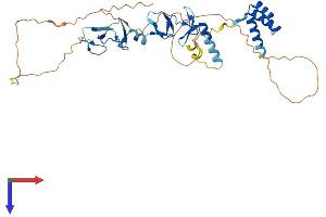 AlphaFold protein structure predicition of Mouse Recombinant Lhx6 Protein, UniprotID Q9R1R0