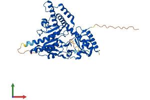 AlphaFold protein structure predicition of Mouse Recombinant Scly Protein, UniprotID Q9JLI6