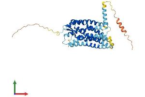 AlphaFold protein structure predicition of Mouse Recombinant Ccr6 Protein, UniprotID O54689