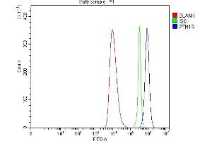 Flow Cytometry analysis of HEL cells using anti-Parathyroid Hormone Receptor 1/PTH1R antibody (ABIN7599639).