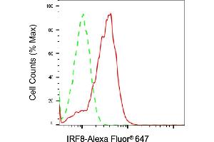 Flow cytometric analysis of IRF8 expression in Raji cells using IRF8 antibody (ABIN7799089), 1:2,000). (Recombinant IRF8 anticorps)